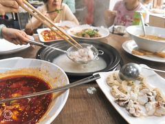 -港升鱼师傅·中山脆肉鲩