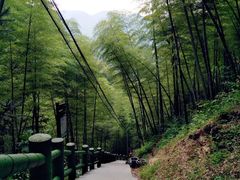 -藏龙百瀑风景区