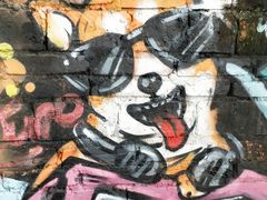 -柴犬高等学院·狗咖·柴犬售卖·宠物训练