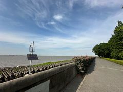 -上海滨江森林公园