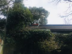 -旅马餐厅(茅家埠店)