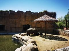 -沈阳森林动物园