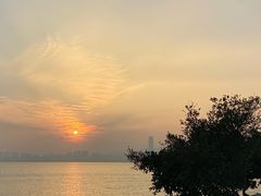 -深圳湾公园(南山区)