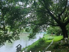 -成都市活水公园