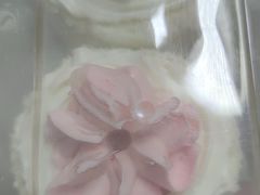 奶油小花-中关村茶点