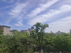 -莲花池公园