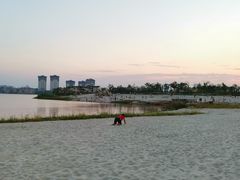 -九龙湖公园