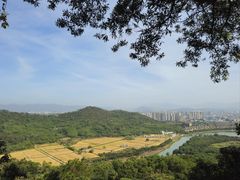 -风云岭森林公园