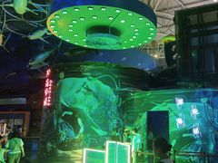 -烟台海昌鲸鲨海洋公园