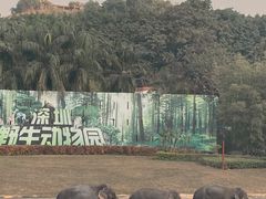 -深圳野生动物园