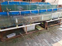 水产区-金渔村海鲜烧烤大排档