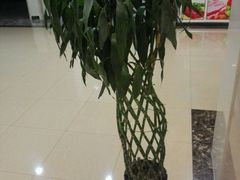 -AdD全日制餐厅(中谷花园酒店)