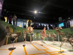 -国家自然博物馆