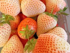 -GranVida生活超市(海信广场店)