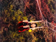 -梦幻奥陶纪景区