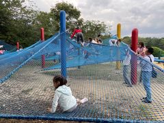 -上海月湖雕塑公园