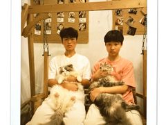 -楼上猫咖(罗湖店)
