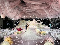 -DC大蔡婚礼策划(李公堤店)