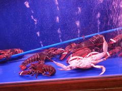 -忆江南·临江鱼馆