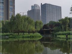 -木塔寺遗址生态公园