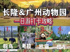 -广州动物园