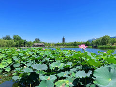 -西海子公园