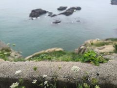 -东极岛景区-青浜岛