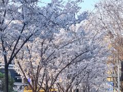 -新天地活力PARK