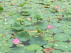-郑东新区龙湖公共艺术中心