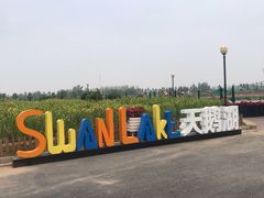 -荷兰花海