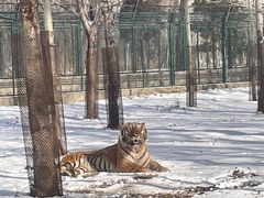 -秦皇岛野生动物园