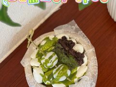 -树夏Tree Summer