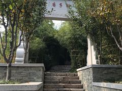 -竹子庵公园