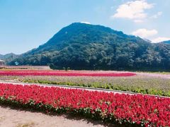-广州市石门国家森林公园