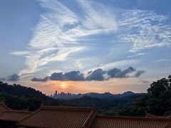 -深圳仙湖植物园