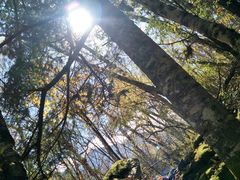 -叠溪松坪沟景区