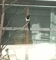 -Oasis Beauty水磨坊科技美肤中心