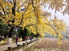 -四川大学(华西校区)