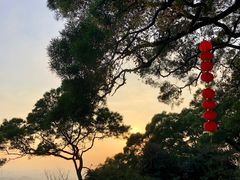 -广州市白云山风景名胜区
