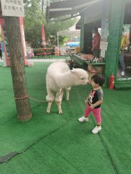 -萌宠亲子动物乐园(槐房万达店)