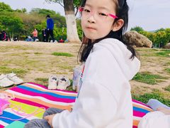 -羊山湖公园
