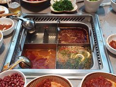 -海底捞火锅(赛格国际购物中心店)