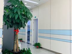 -中农国际动物医院24小时·猫科·骨科·急重症中心
