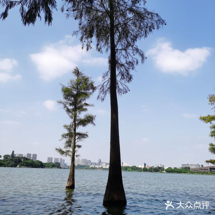 松山湖南湖湾露营营地图片