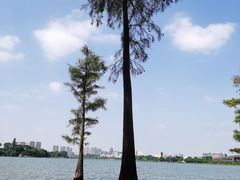 -松山湖南湖湾露营营地