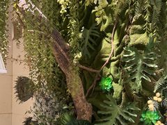 -康逸居·始于2002(海安店)