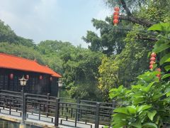 -侨美·唐荔园·40年地道粤菜