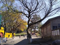 -虞山风景区