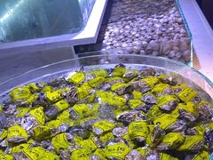 -聚盛源蒸汽海鲜火锅烤肉自助(巨川金海岸购物广场店)
