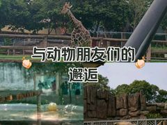 -成都动物园